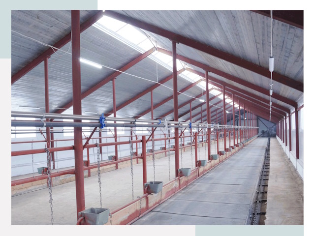 Строительство коровников в Североморске от 642 руб.