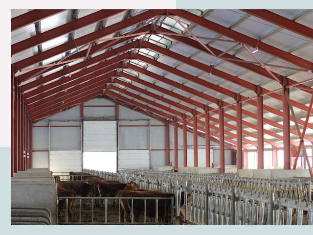 Строительство коровников в Североморске