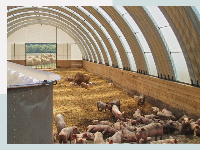 Строительство свинарников в Североморске