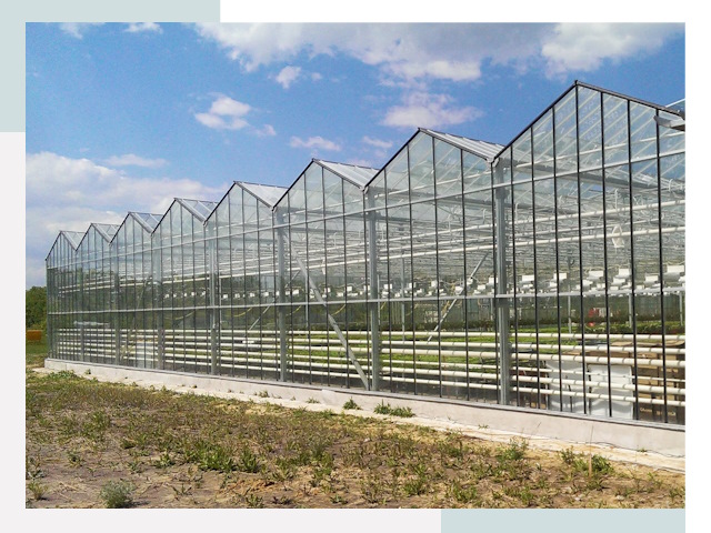 Строительство теплиц в Североморск от 642 руб. за м²